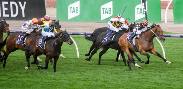 The Astrologist too fast for rivals in the Aurie’s Star Handicap