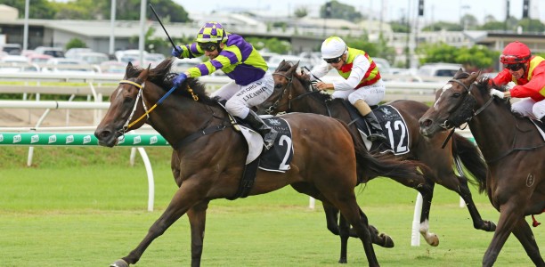 Fortification prevails in a thrilling Townsville Cup