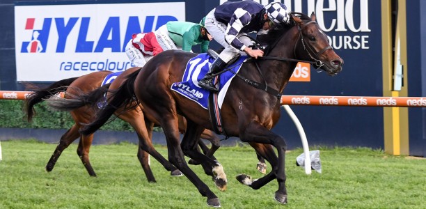 Russian Camelot launches Widden Victoria