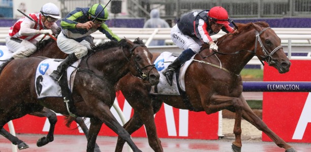 Dalasan to kick off Cox Plate campaign in Spring Stakes