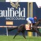 2022 Blue Diamond Stakes attracts 1594 nominations