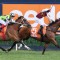 Streets Of Avalon in good order for PB Lawrence Stakes