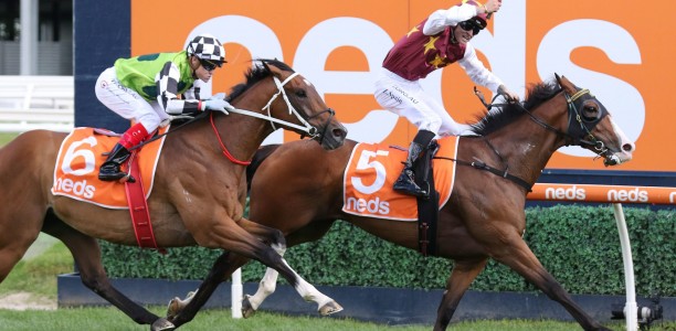 Streets Of Avalon in good order for PB Lawrence Stakes