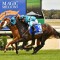 Novelty races booted from Ballarat Cup program