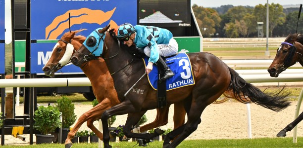 Novelty races booted from Ballarat Cup program