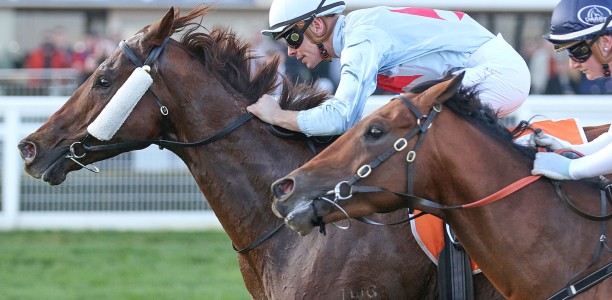 Former WA galloper crunched in PB Lawrence Stakes betting