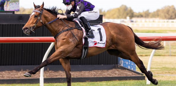 Big Parade marches to first-up win