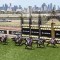 Prize money boost to Group 1 spring features
