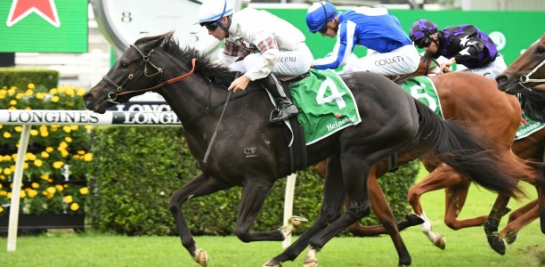 Barrier draw holds the key for Jamaea’s return in Silver Shadow Stakes