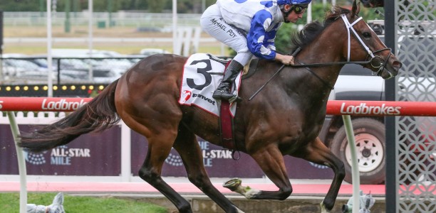 Ancestry out to enhance Moonee Valley record