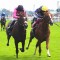 Stradivarius takes Lonsdale Cup in a pulsating finish
