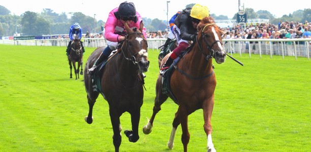 Stradivarius takes Lonsdale Cup in a pulsating finish