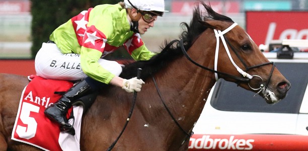 Sansom to tackle G1 Memsie Stakes at Caulfield