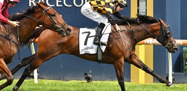 Probabeel set to kick-off spring campaign at Caulfield
