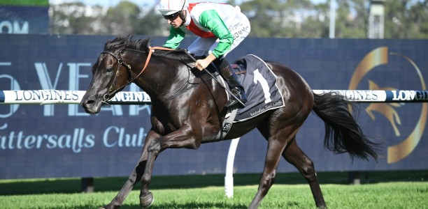 Star NZ galloper begins Spring raid in the Memsie Stakes