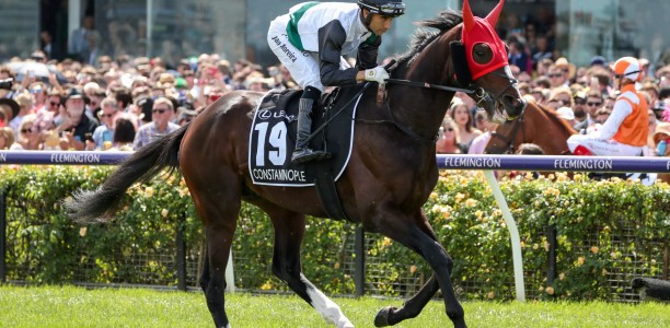 Constantinople kicks off for new owners at Caulfield