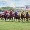 Cairns Cup a wide open betting race