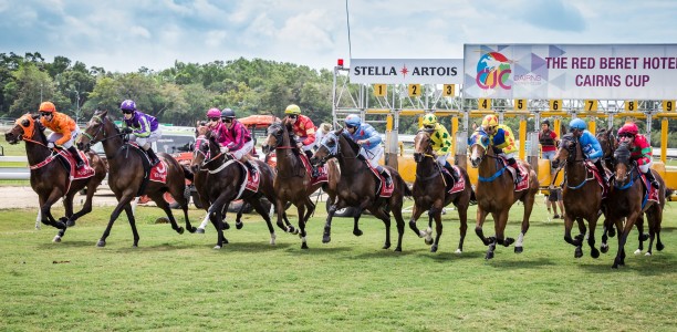 Cairns Cup a wide open betting race