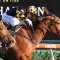 Behemoth goes back-to-back in Memsie Stakes