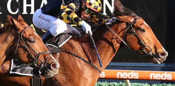 Behemoth goes back-to-back in Memsie Stakes