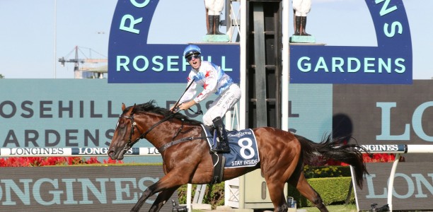 Freedmans considering options with Golden Slipper winner