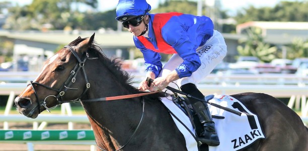 Punters plunge on boom horse at Randwick