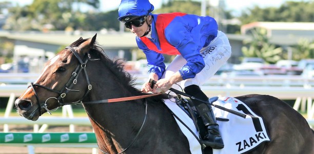 Punters plunge on boom horse at Randwick