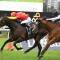 Punters back one to beat Nature Strip in Concorde Stakes