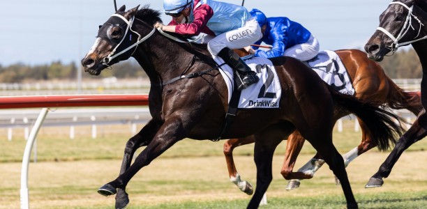 In-form stayers odds crunched in the Wyong Cup