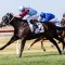 Wyong Cup Laure’s in trainer Matt Dunn