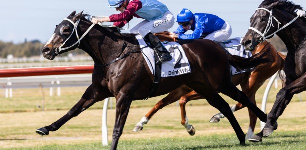 Wyong Cup Laure’s in trainer Matt Dunn