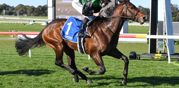 Linas Legend races into contention for the Caulfield Guineas