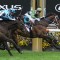 Incentivise scores first G1 in Makybe Diva Stakes