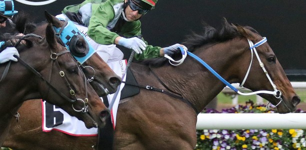 Makybe Diva Stakes – What the jockeys said