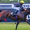 Foot issue troubling high-priced UK galloper