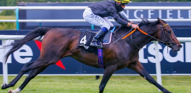 Foot issue troubling high-priced UK galloper
