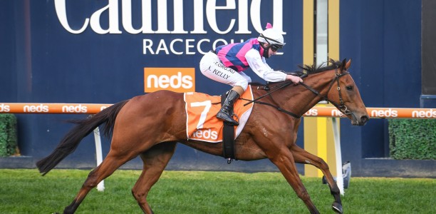 King could be a surprise runner in Sir Rupert Clarke Stakes