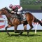 Rothfire’s racing return labeled as a ‘miracle’