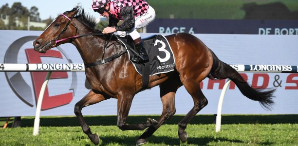 Rothfire’s racing return labeled as a ‘miracle’
