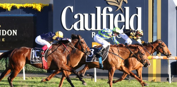SA trio become travel buddies