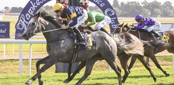 Local hope heavily backed in the Newcastle Cup