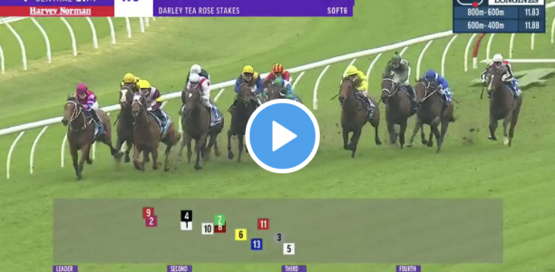 Tea Rose Stakes results and replay – 2021