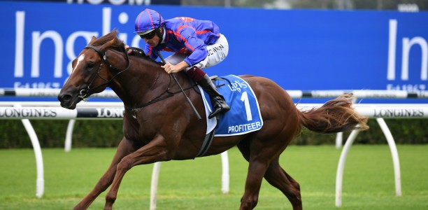 Boom 3YO heads early odds in the Moir Stakes