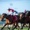 Talented stayers heads early odds in the Toowoomba Cup