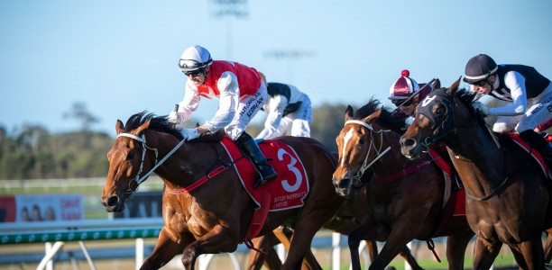 Talented stayers heads early odds in the Toowoomba Cup