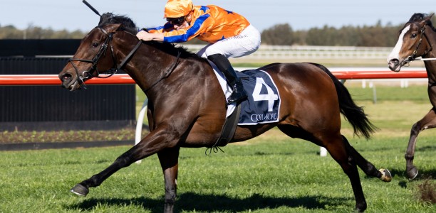 Entriviere out to underline The Invitation claims