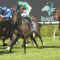 G3 Gloaming Stakes test for expensive colt