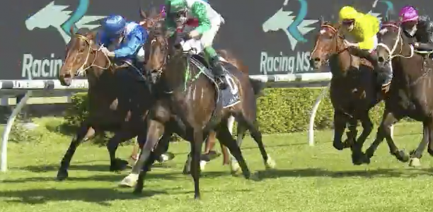 G3 Gloaming Stakes test for expensive colt
