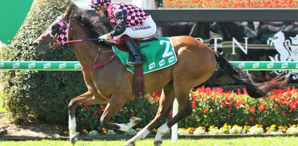 Expensive punt on Golden Rose start