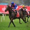 TAB pays out on Zaaki to win the Cox Plate